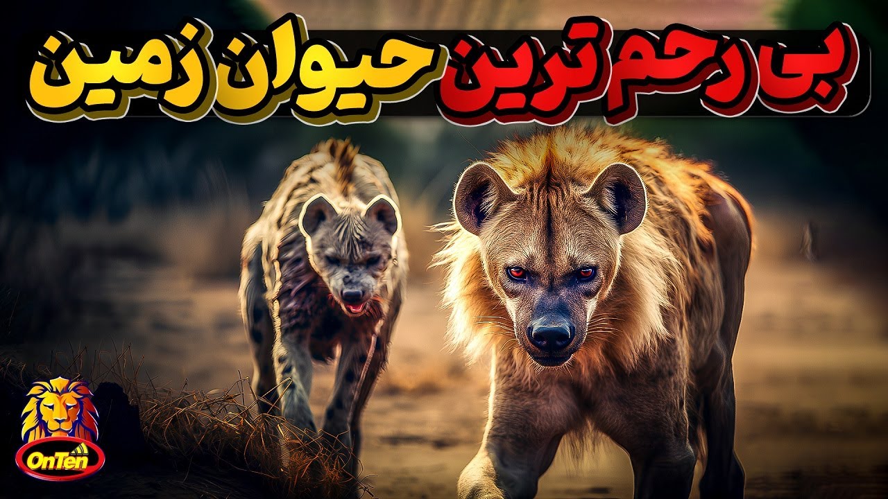 ببینید، 20 حیوان بی نظیر و تماشایی درباغ وحش آنتن  در سال 2023