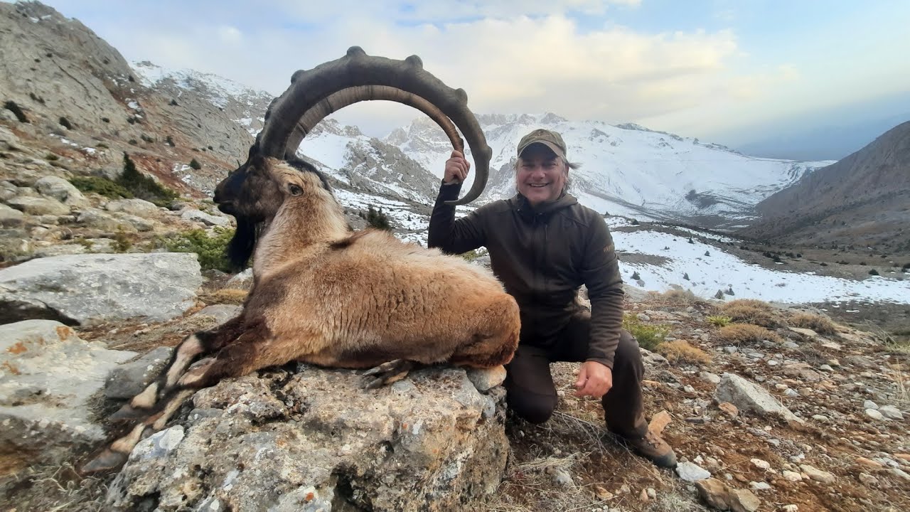BEZOAR IBEX TURKISH FRONTIER&FERNANDO BOUFFARD FITA