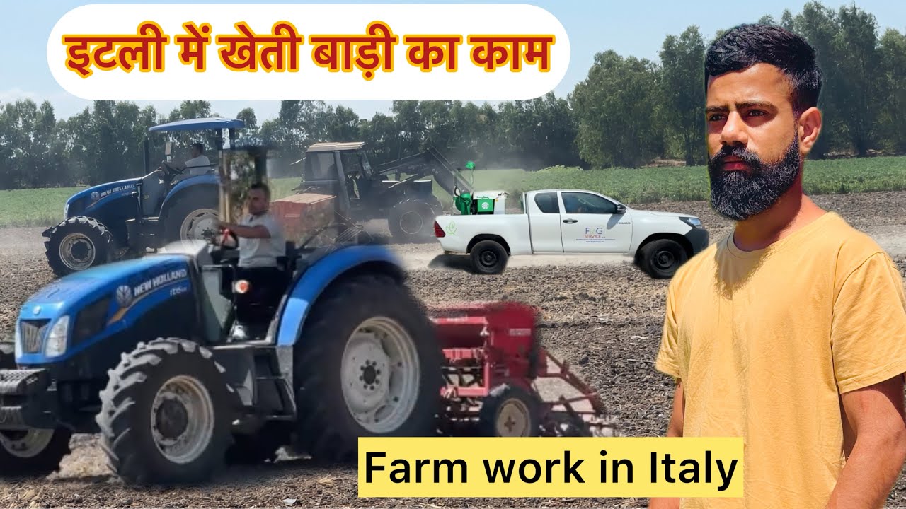 Farm work in Italy 🇮🇹 इटली में खेती बाड़ी का काम #farming #italy #session #italyseasonalworkpermits