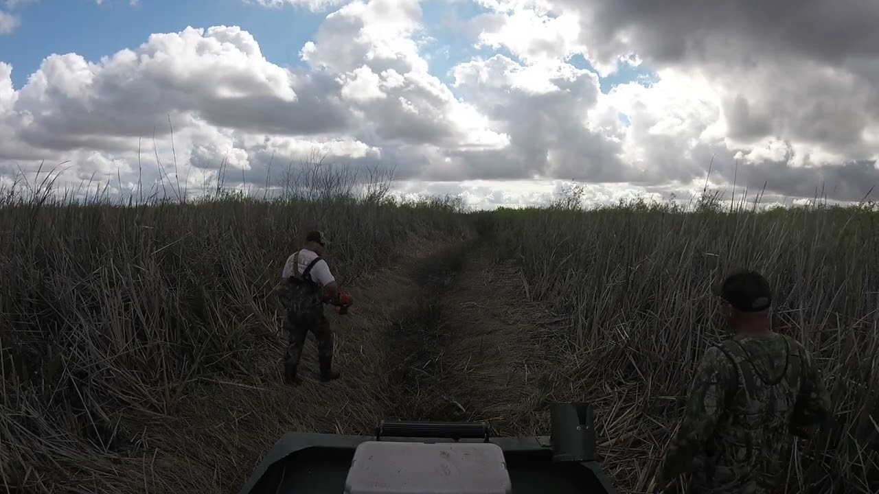 Florida Everglades 1-24-26 drought dry trail