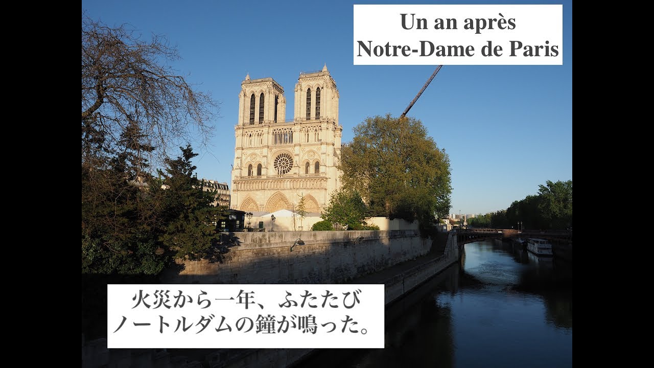 【Paris/Covid19】Notre Dame de Paris, Un an après  1年ぶりのノートルダムの鐘