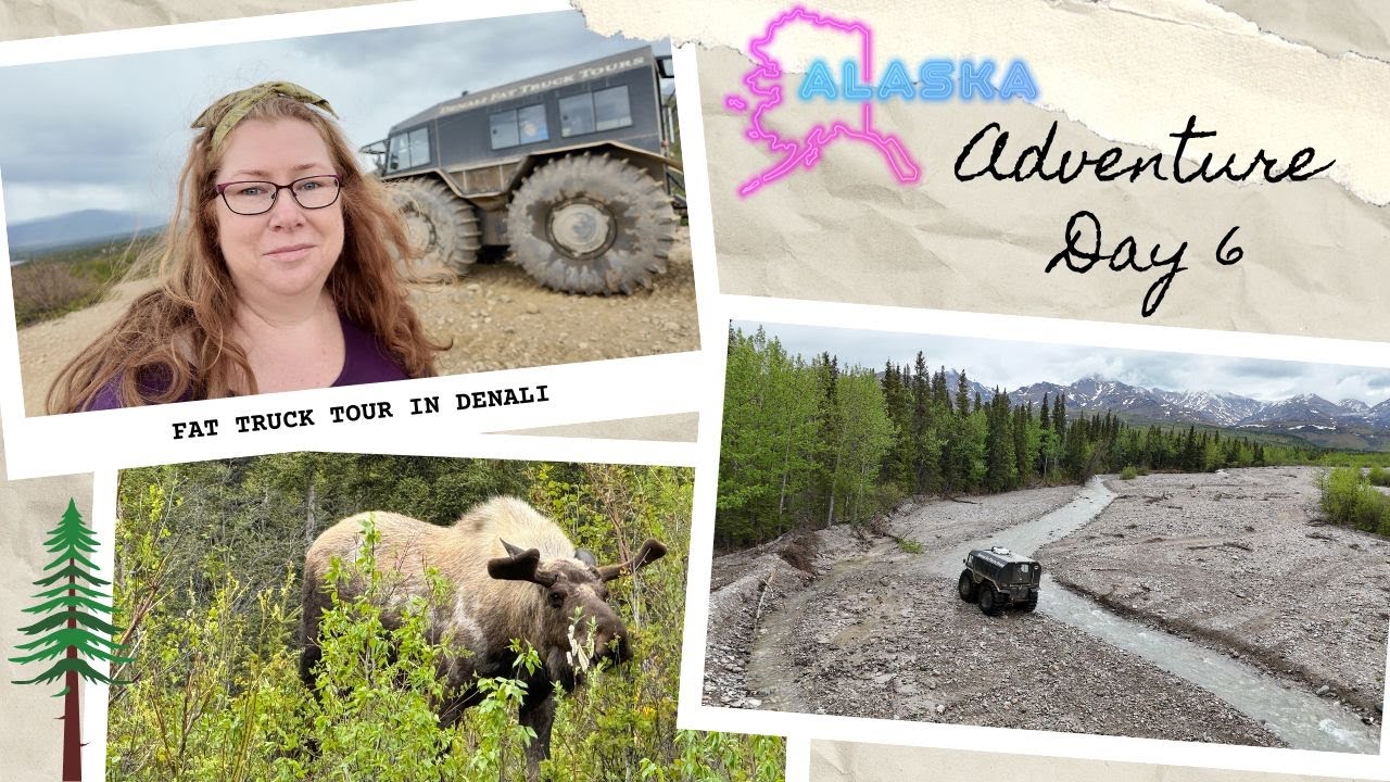 Denali Fat Truck tour / Black Bear Coffee / Alaska Adventure / VLOG : 3rd June, 2024