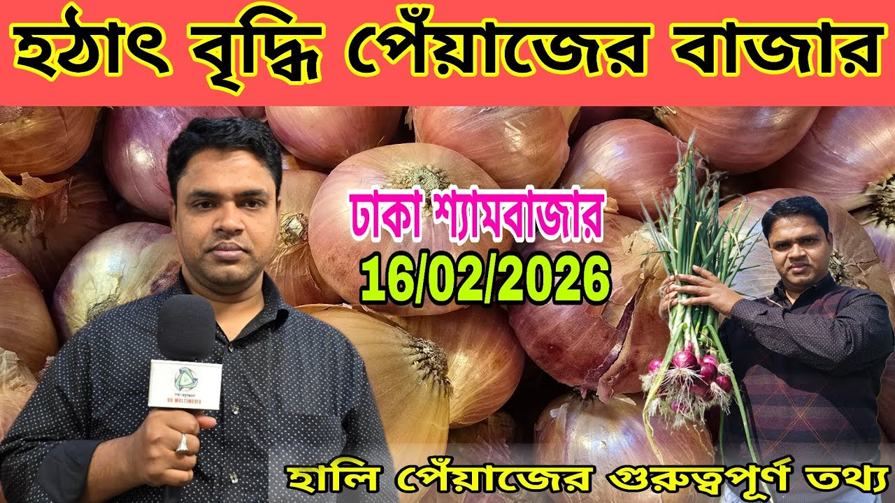 16/02/2026; বৃদ্ধি হল পেঁয়াজের বাজার | ঢাকা শ্যামবাজার | onion wholesale market price