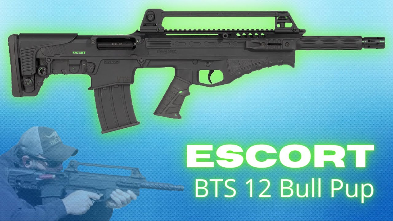 Escort BTS12 — отстой?