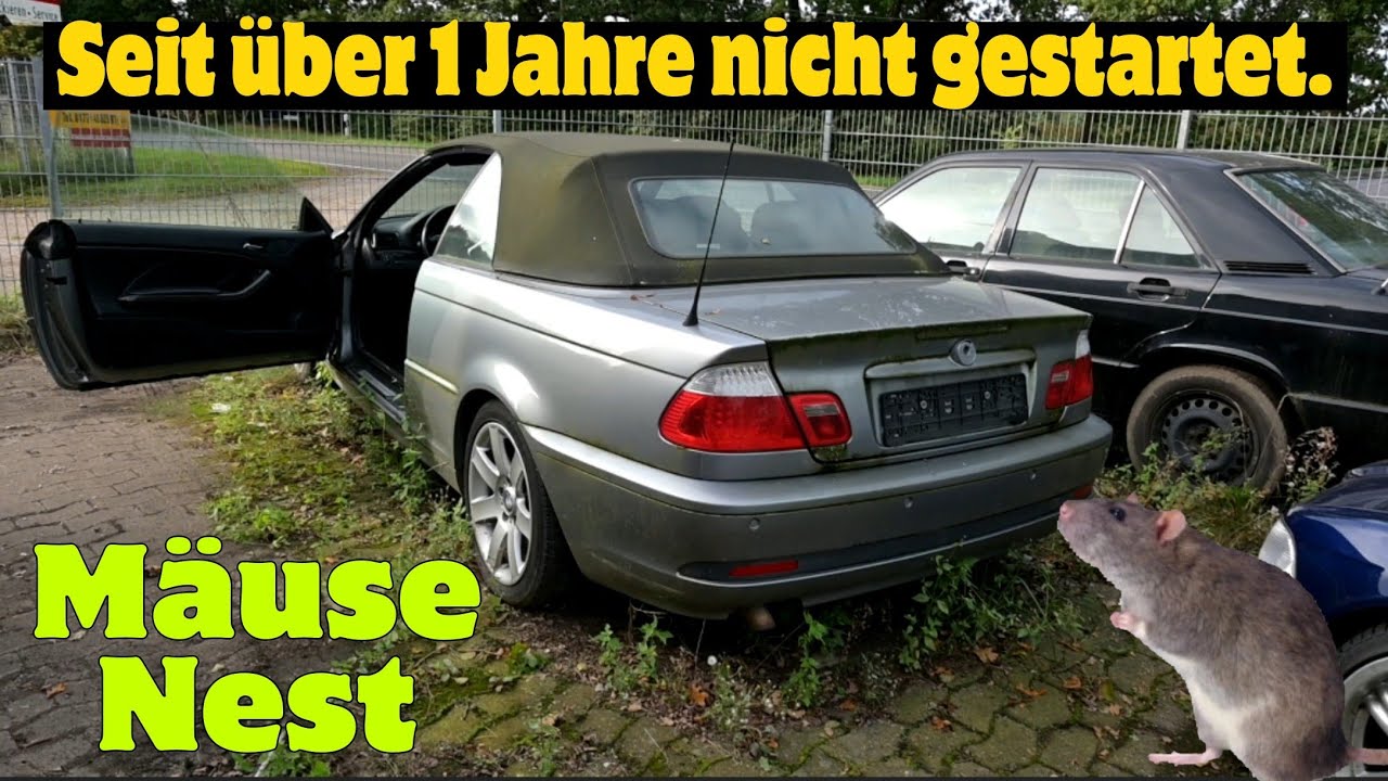 BMW Cabrio als Mäuse Nest.Was hab Ich getan. Kann Ich mein Geld retten..