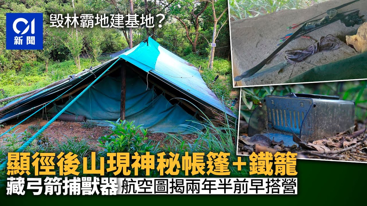 顯徑邨後山現神秘帳篷　毀林佔地藏弓箭捕獸器　航空圖揭歷兩年半｜01新聞｜顯徑邨｜野營地｜政府土地｜地政總署｜漁護署