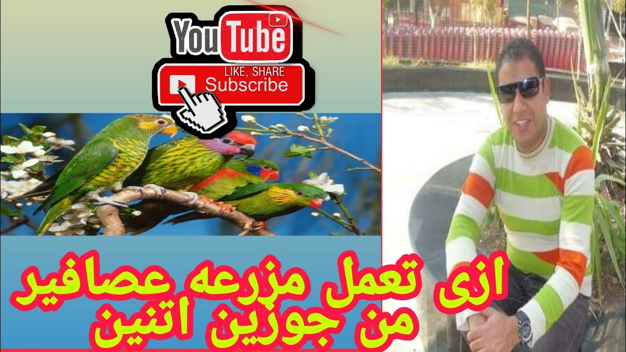 تعالى أتعلم ازى تعمل مزرعة عصافير من جوزين اتنين
