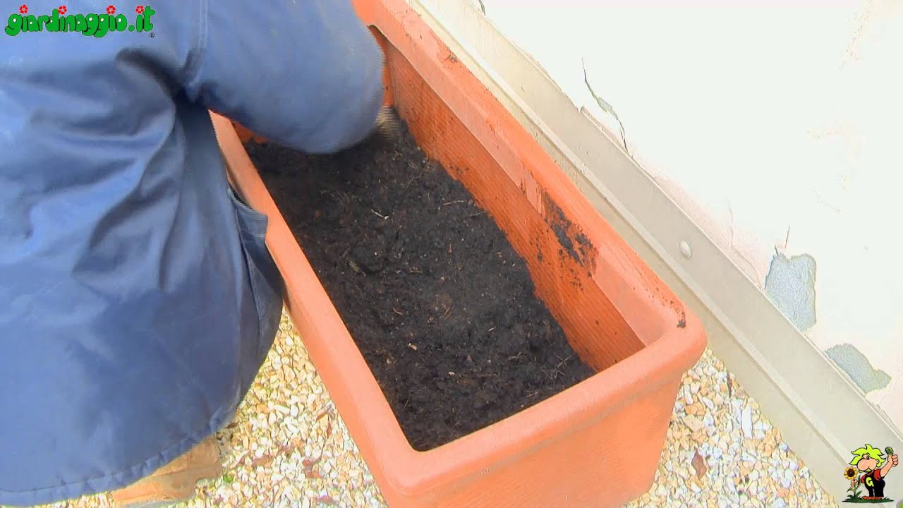 Giardino in terrazzo: progettazione posizione e scelta delle varieta di piante