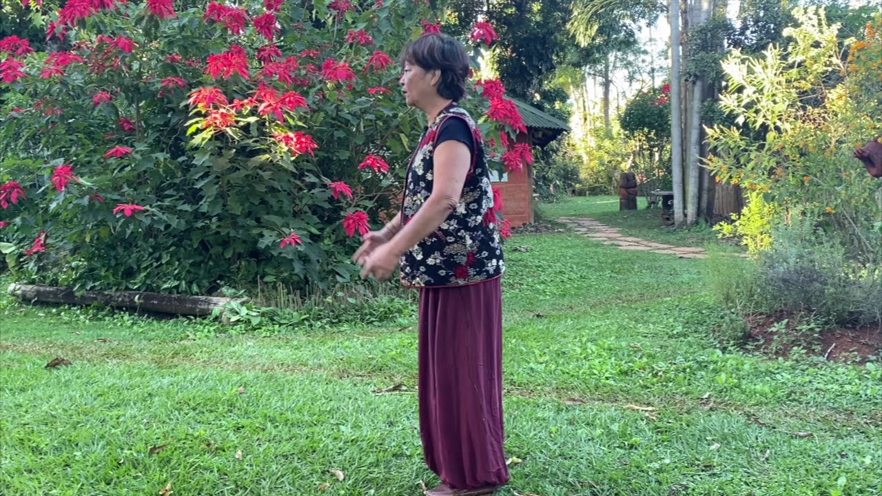 Qi gong para o coração