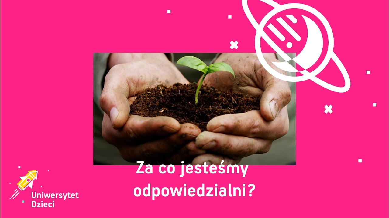 Za co jesteśmy odpowiedzialni?