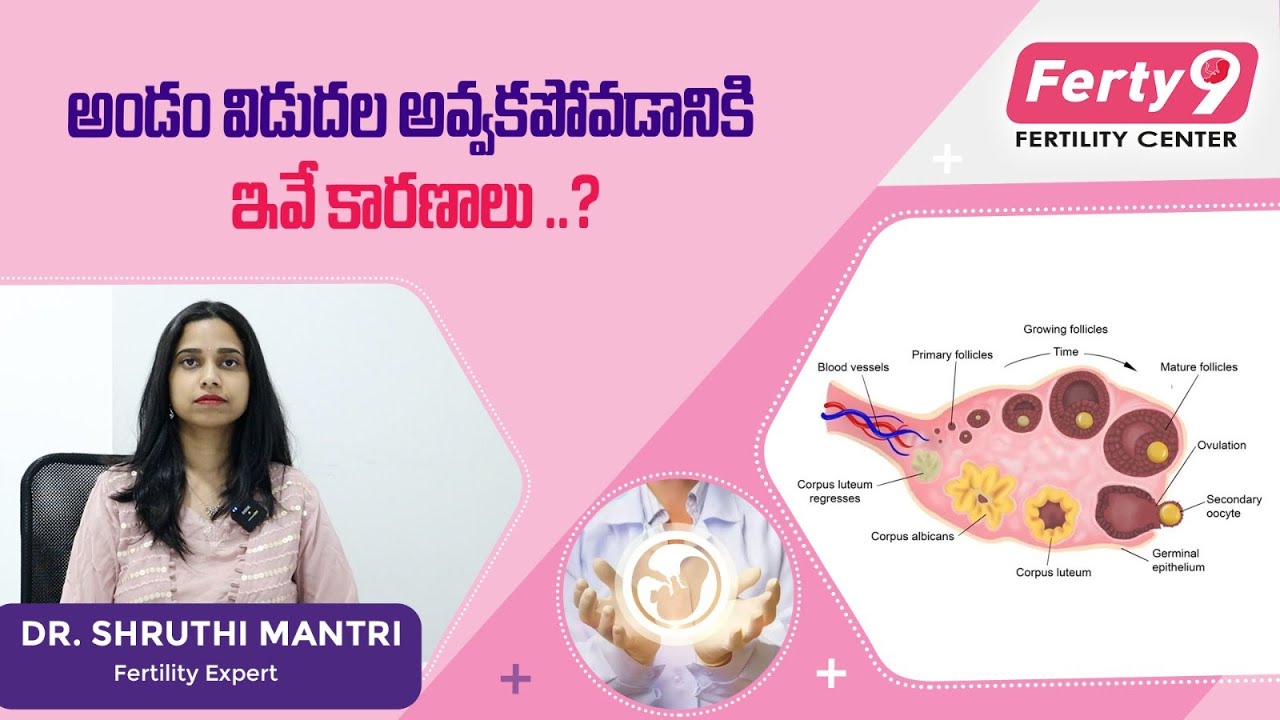 What is an unruptured follicle in Telugu? | #femaleinfertility #womenhealth