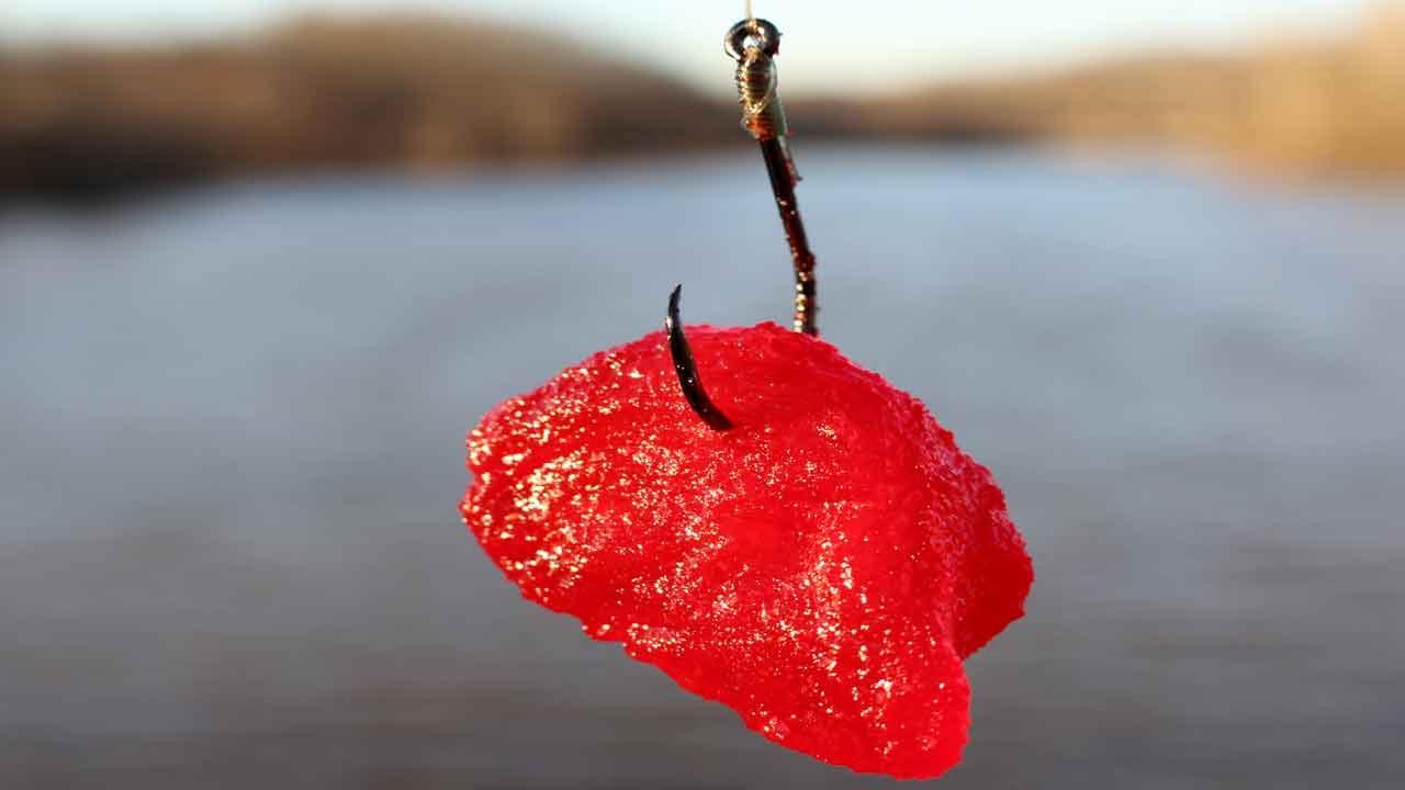 Fishing for catfish with Jello - 6 catfish bait recipes - How to catch catfish