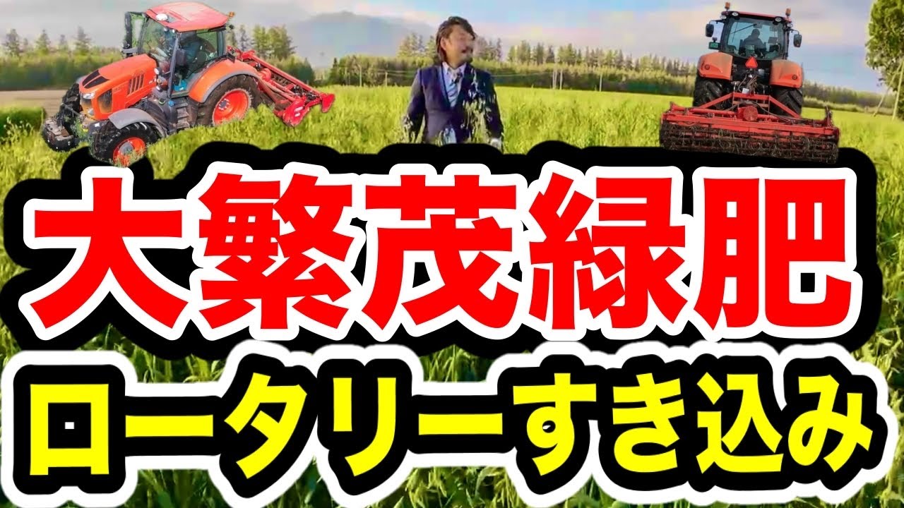 大繁茂した緑肥を【ロータリーですき込め！】