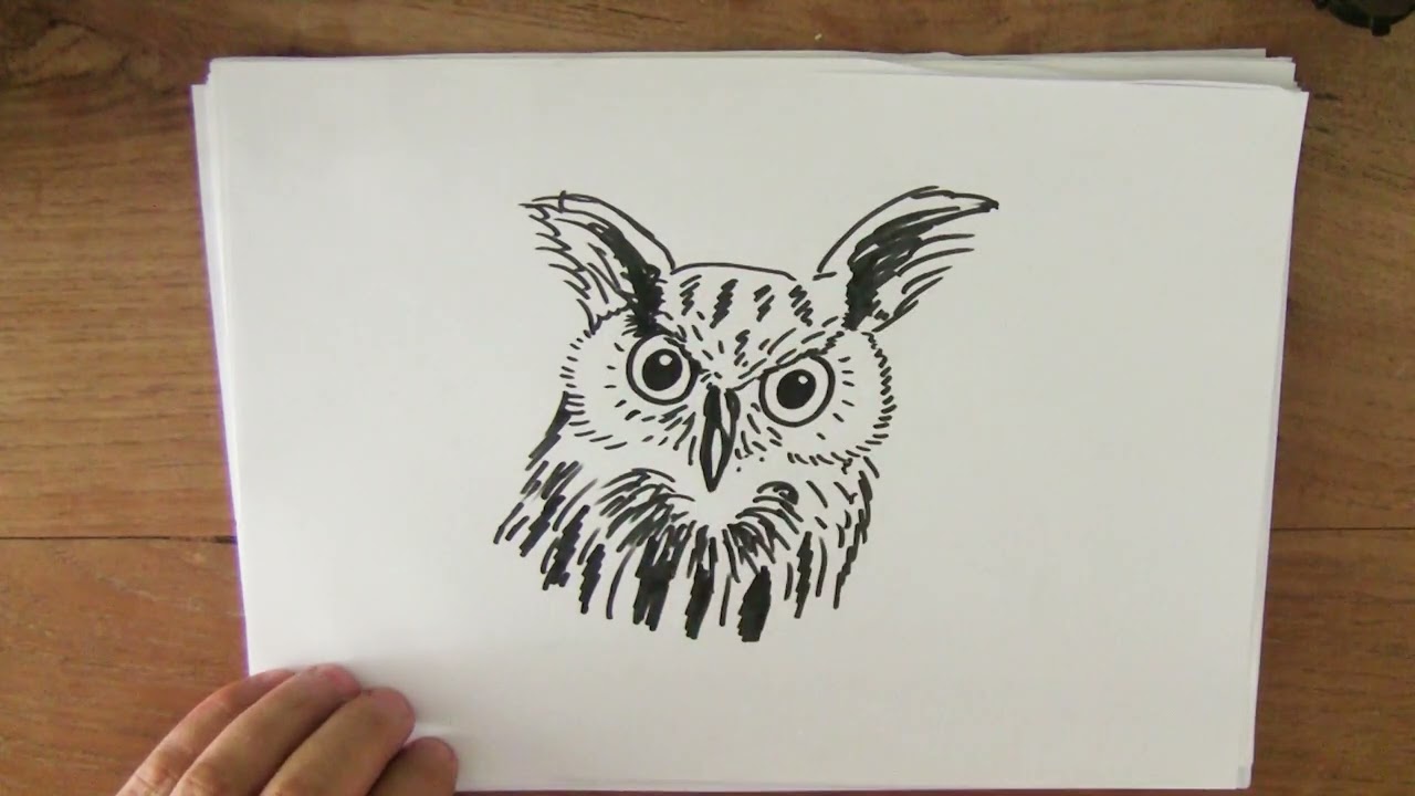4 augustus De dag van de Uil