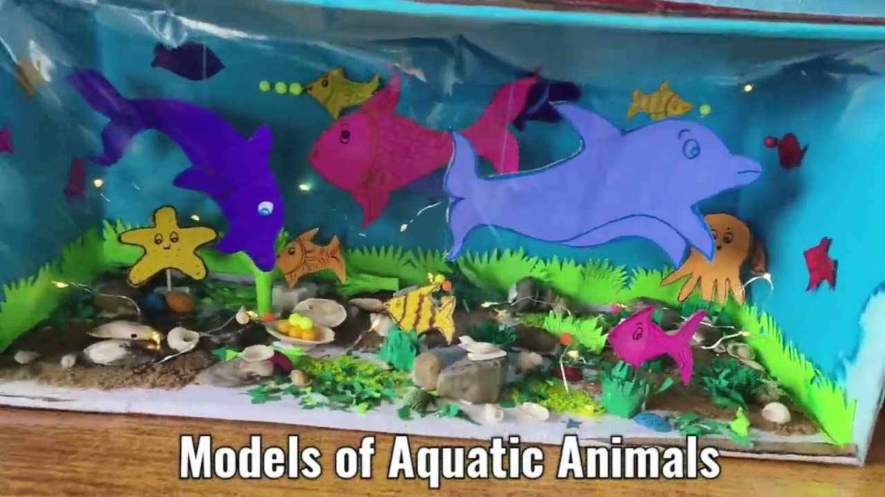 Exhibition Based On Various Subjects Held at Children's Academy English Medium School.