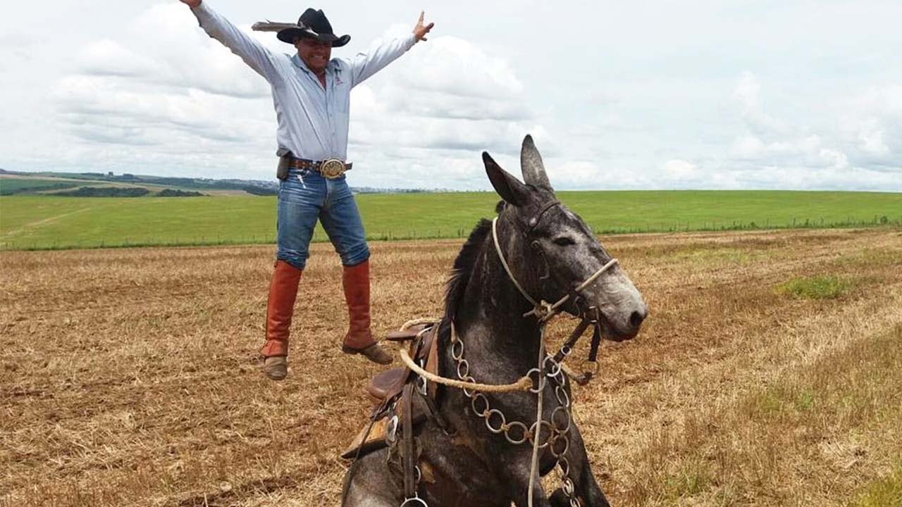 ESSA É A VIDA BRUTA DO MULADEIRO 👊🐎