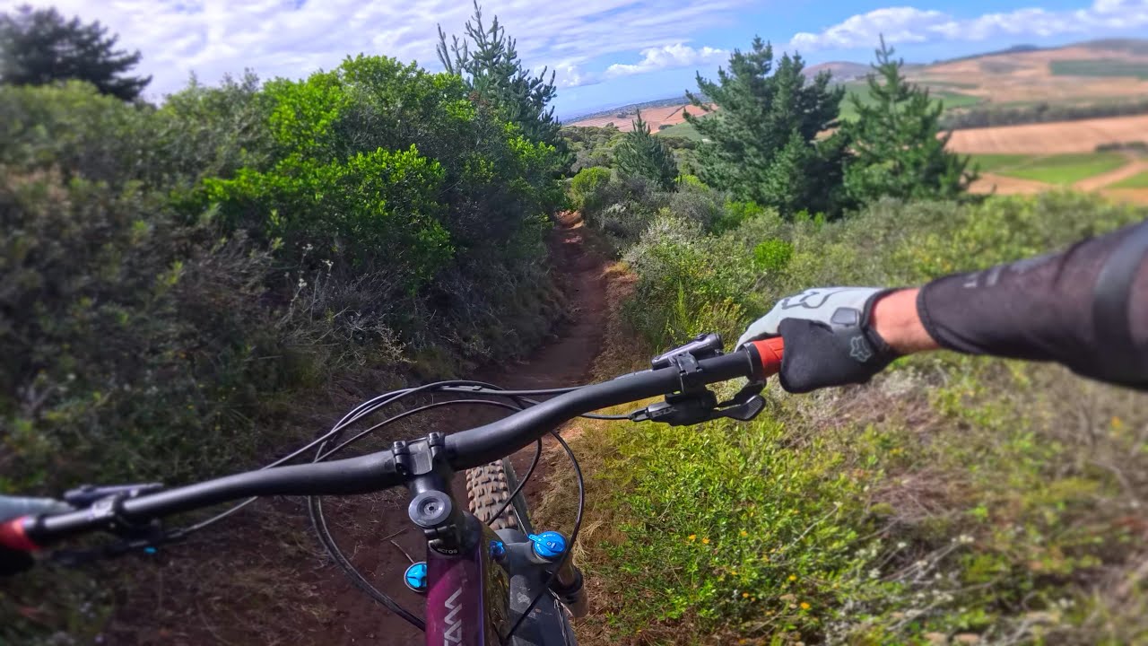 Bloemendal Like You've Never Seen It Before | Full Gas