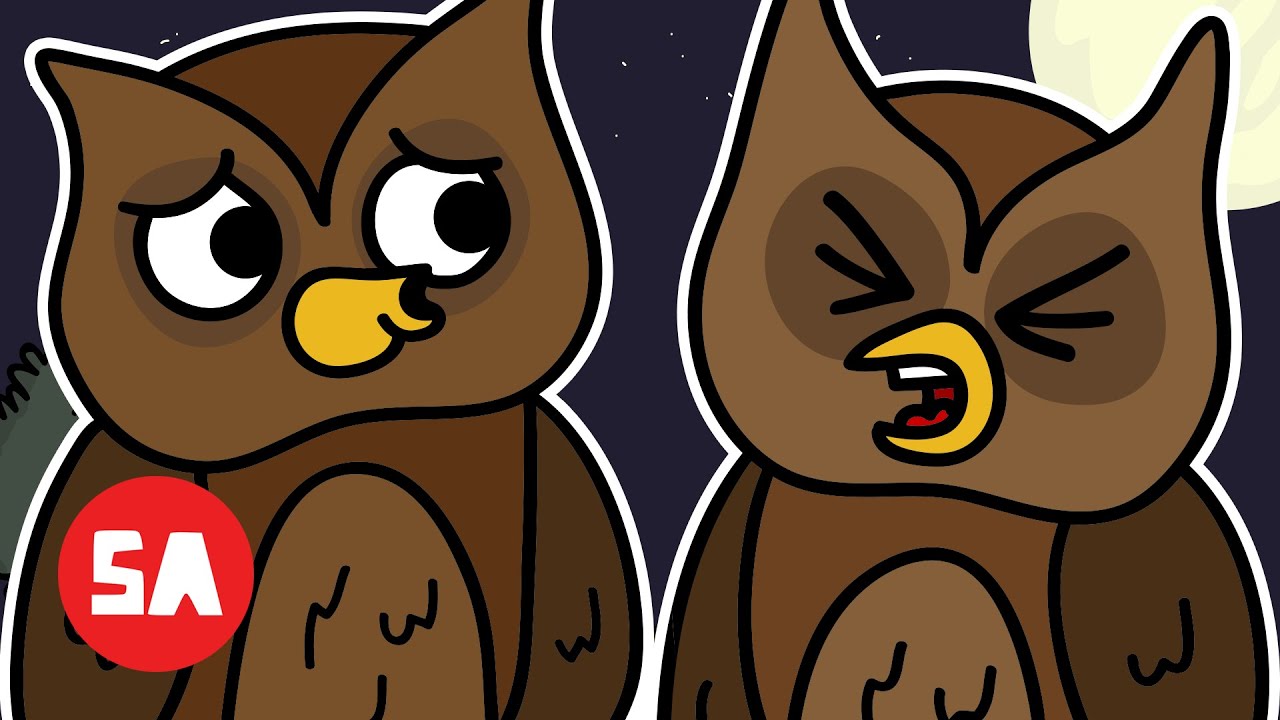 IRISH Owl Refuses to Celebrate Halloween &mdash; You&rsquo;ll Understand Why! | Sminky Shorts: Ghost