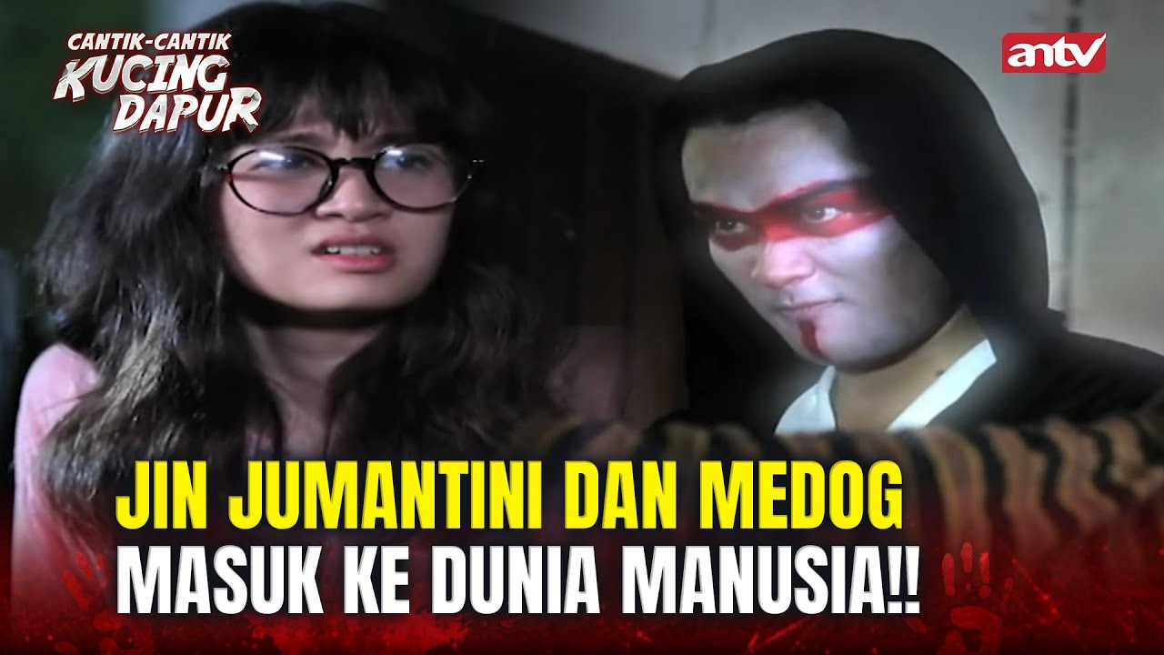 Murkanya King Jin! Karena Jin Jumantini! | Cantik Cantik Kucing Dapur Eps 1 Full