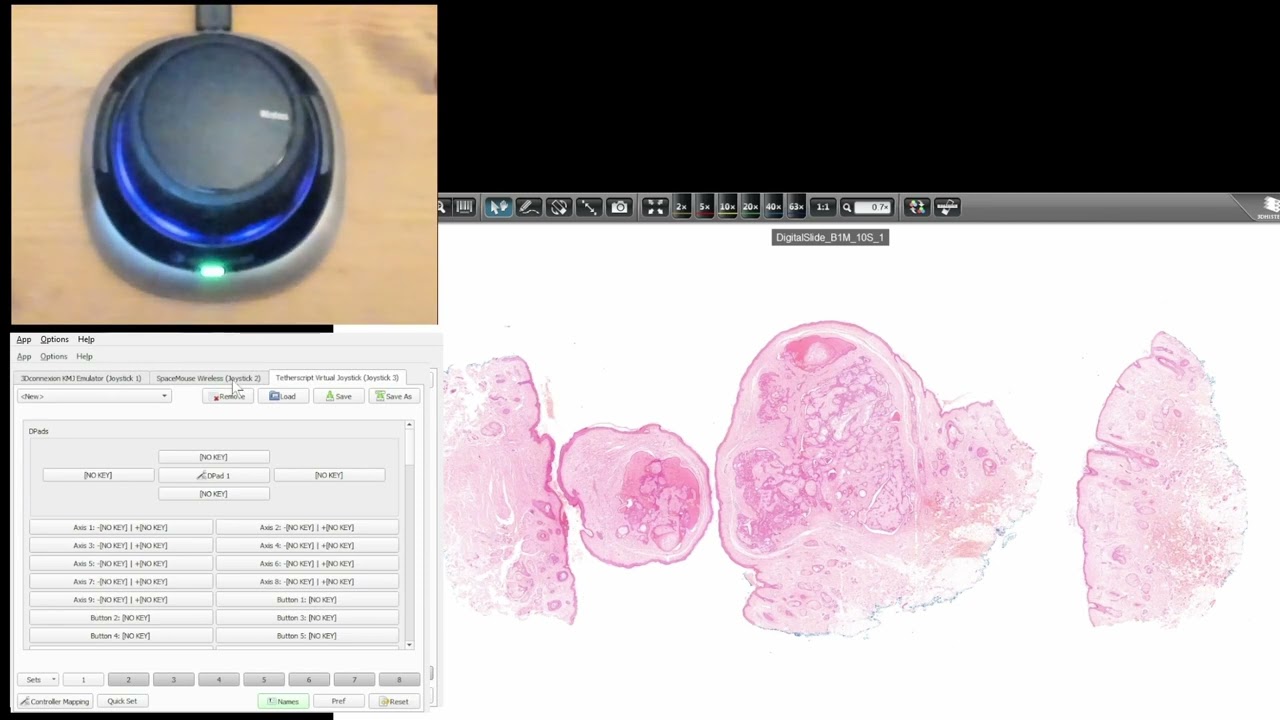 Connecting SpaceMouse to  SlideViewer