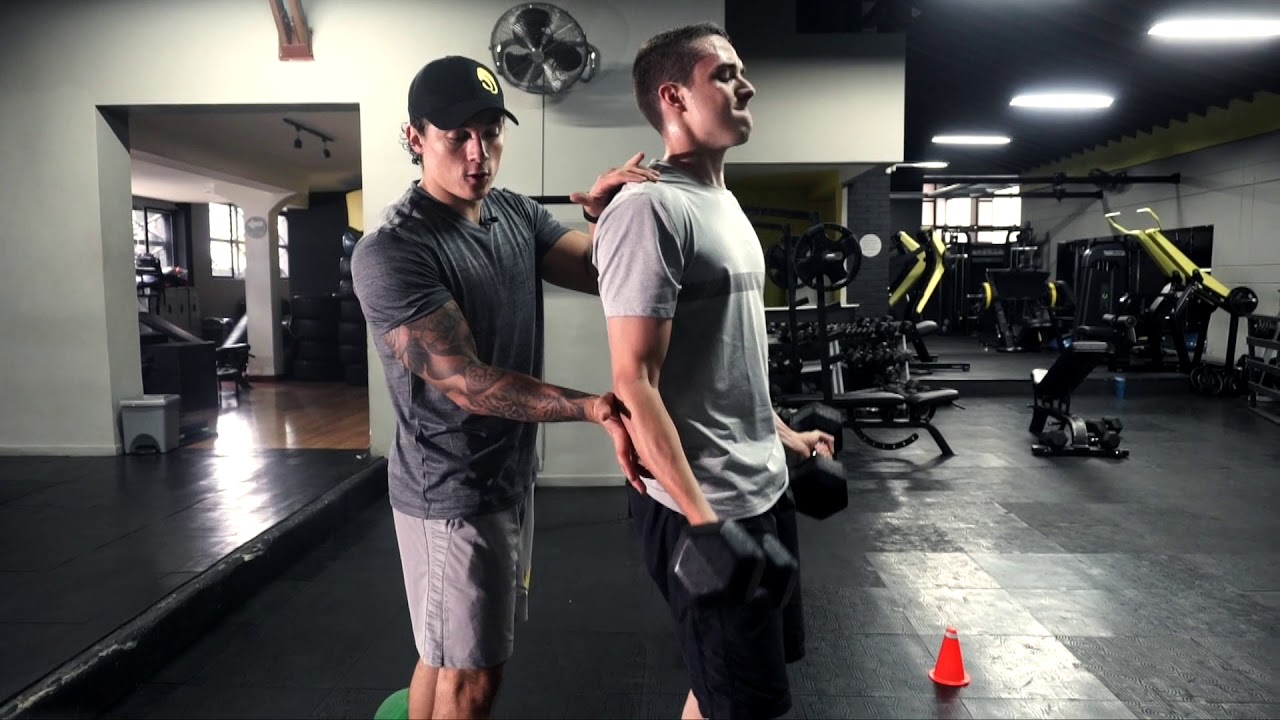 Entrenamiento para tonificar y mantenerse en forma / Bíceps, tríceps, cardio y abdomen