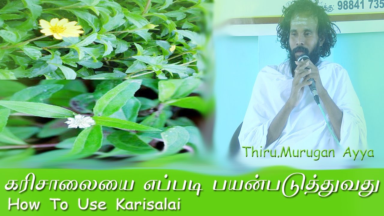 How To Use Karisalai/கரிசாலையை எப்படி பயன்படுத்துவது/துவைதம்,அத்வைதம்,விசிட்டாத்வைதம்