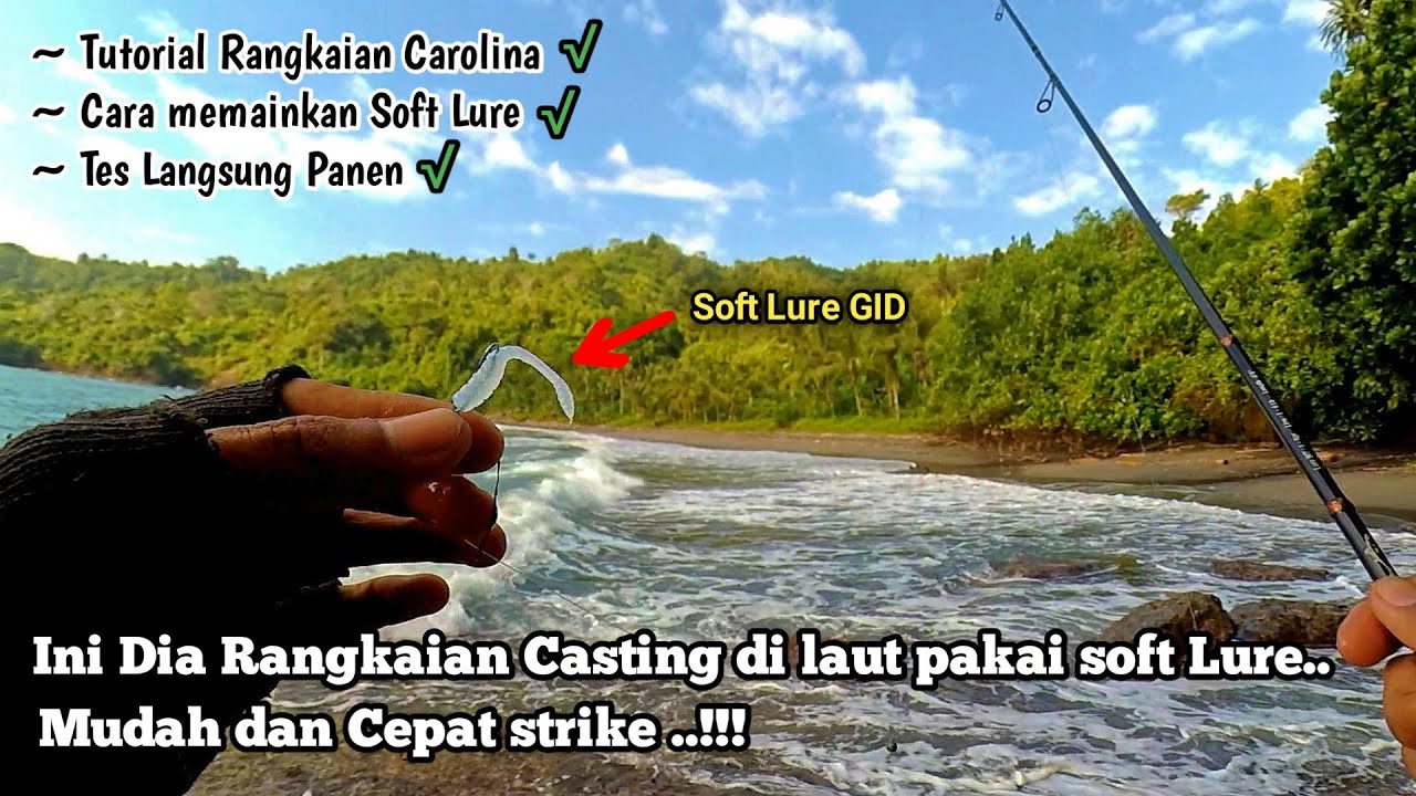 Cepat Strike ‼️ Beginilah Rangkaian Pancing Soft Lure dan Carolina Rig Di Pinggiran Laut