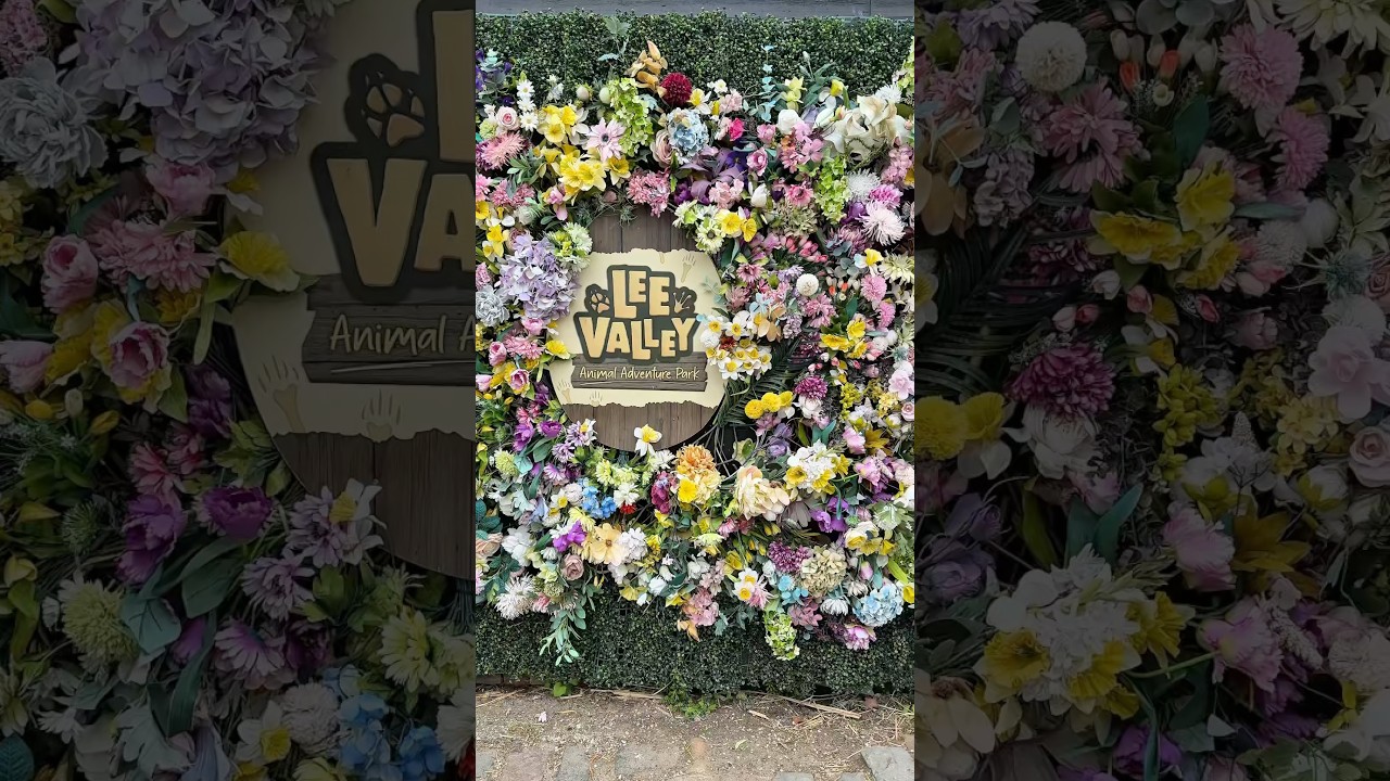 Lee Valley Animal Adventure Park | Day Out With The Kids | Mischief Maker Event | Family Time | Farm
