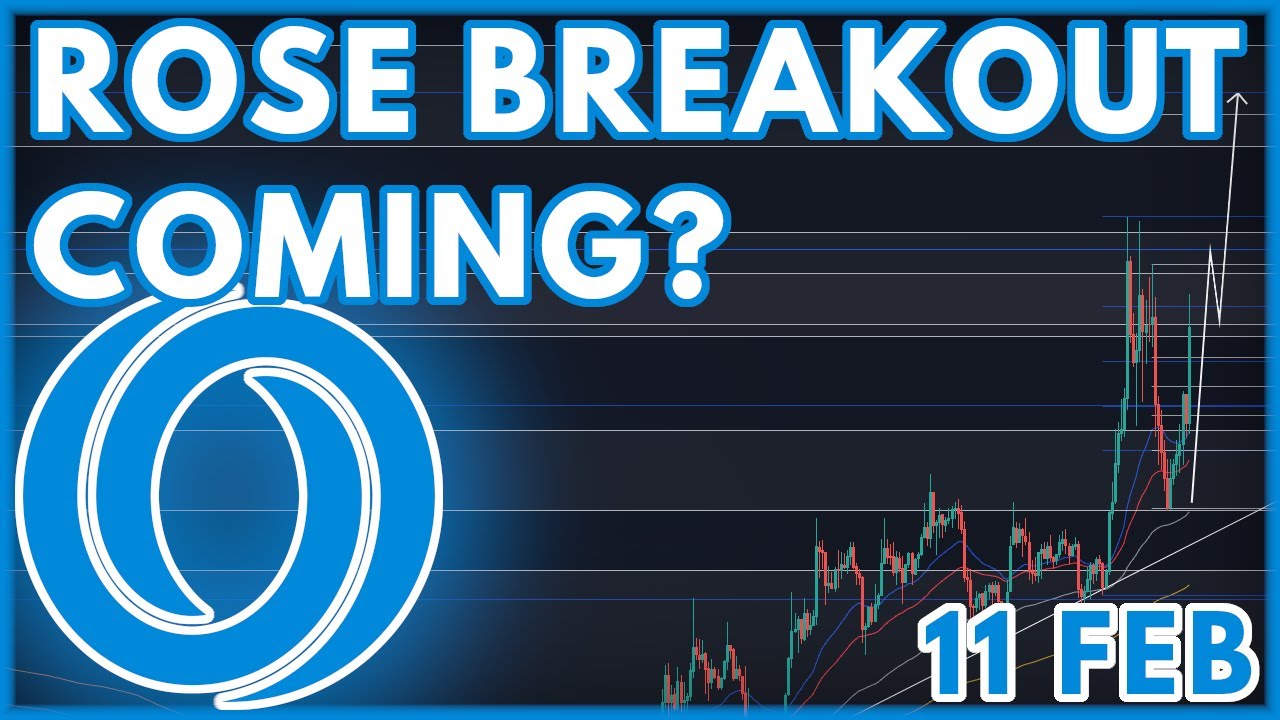 ROSE PRICE PREDICTION TODAY!🔥 | OASIS NETWORK (ROSE) PRICE PREDICTION & NEWS 2023!