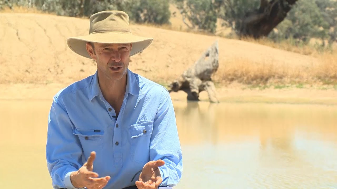 Improving farm dams: a farmer's perspective
