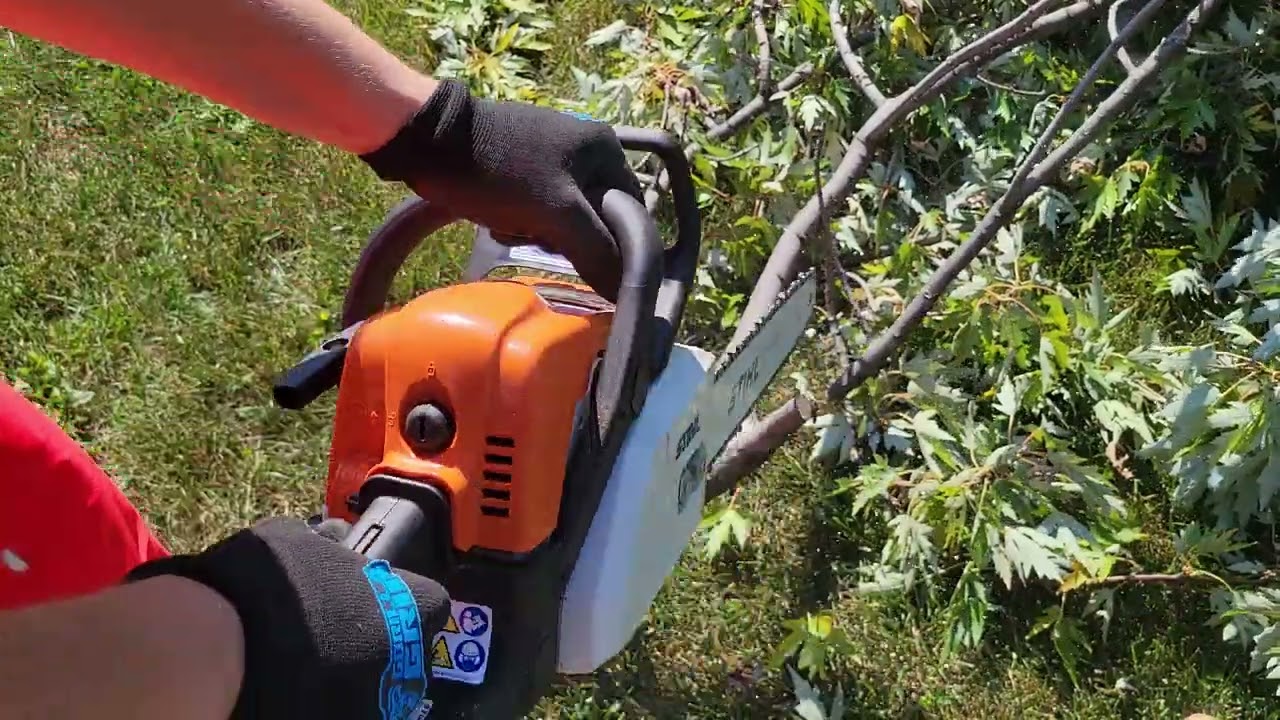 Stihl MS170 operation and use on small branch cleanup