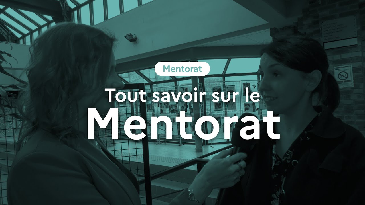 Tout savoir sur le mentorat !