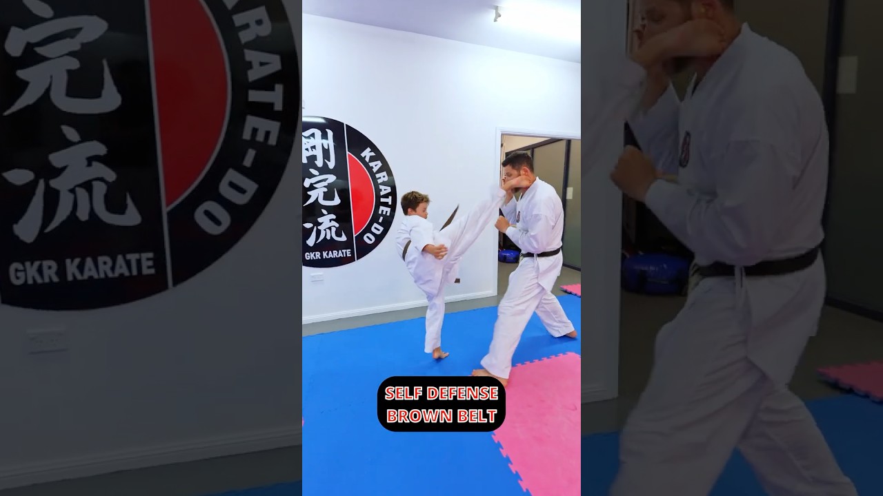 White Belt vs Brown Belt Self-Defense 