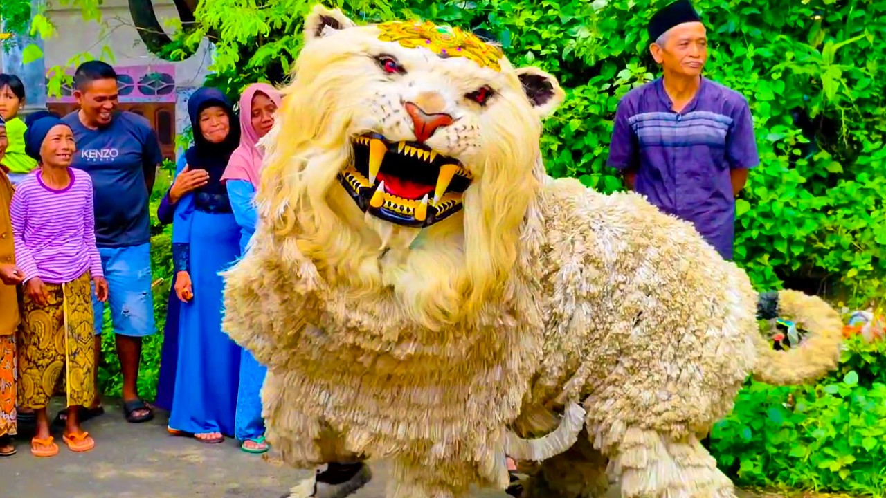 Kirab can macanan Singo Raung bersama drumband Al Azhar | Live Gubrih Wringin part 3
