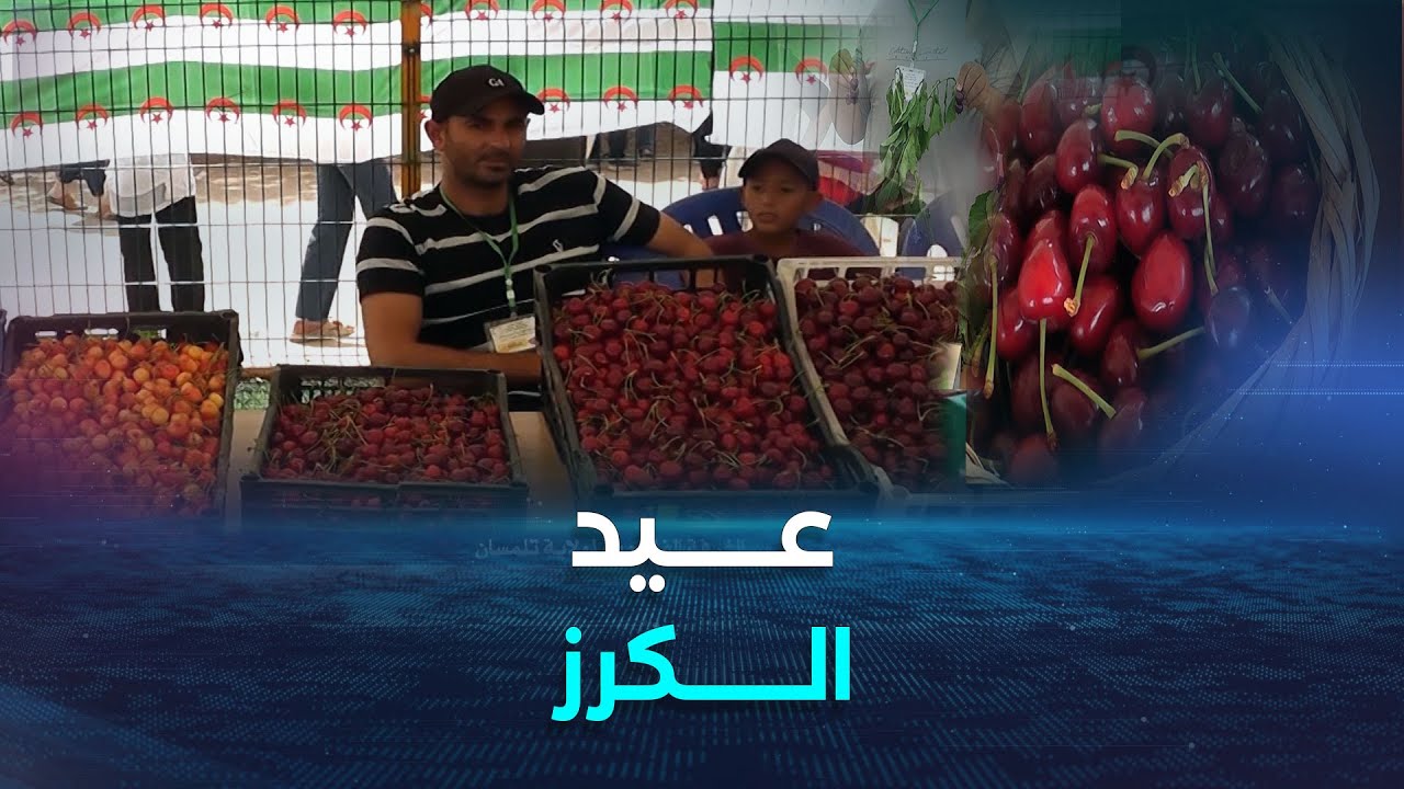 تلمسان.. قرى بلدية الوادي الأخضر تحتضن فعاليات عيد الكرز