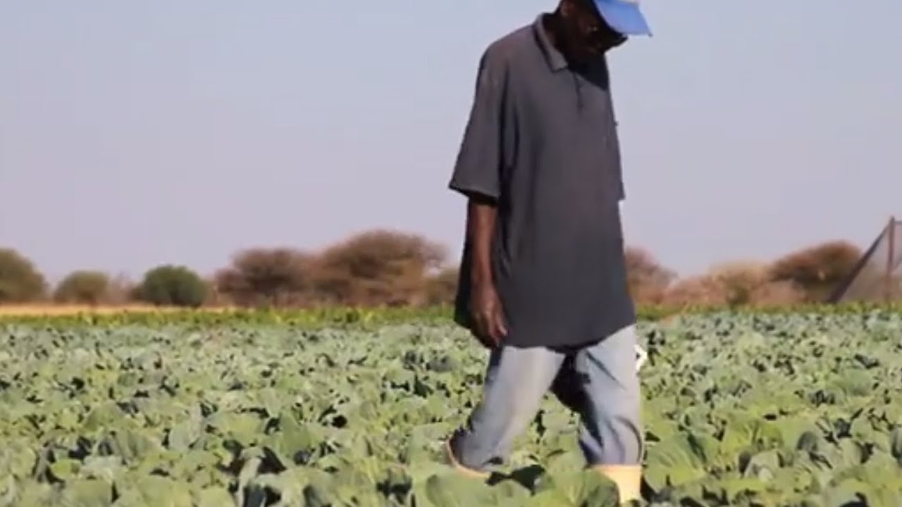 Countries Go Beyond GDP to Make Natural Capital Count for Development