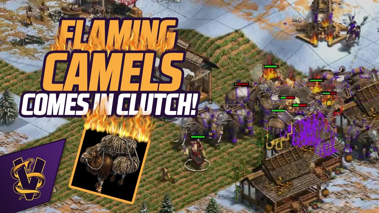 4v4 Rage Forest with Tatars!
