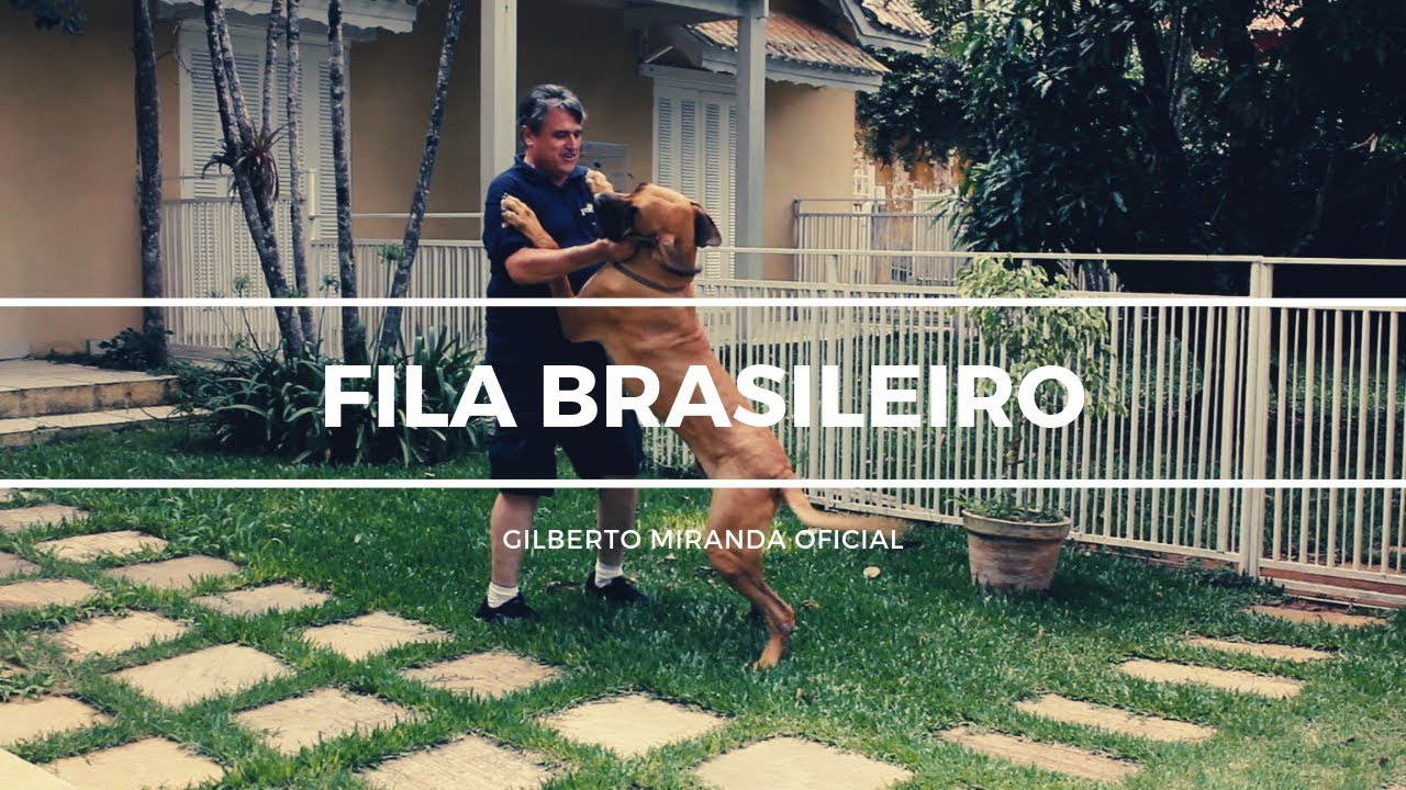 Fila Brasileiro