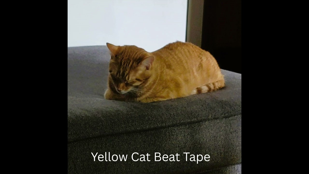 Yocom Beats - Yellow Cat Beat Tape [Full Beat Tape] Chill hip-hop and dance music