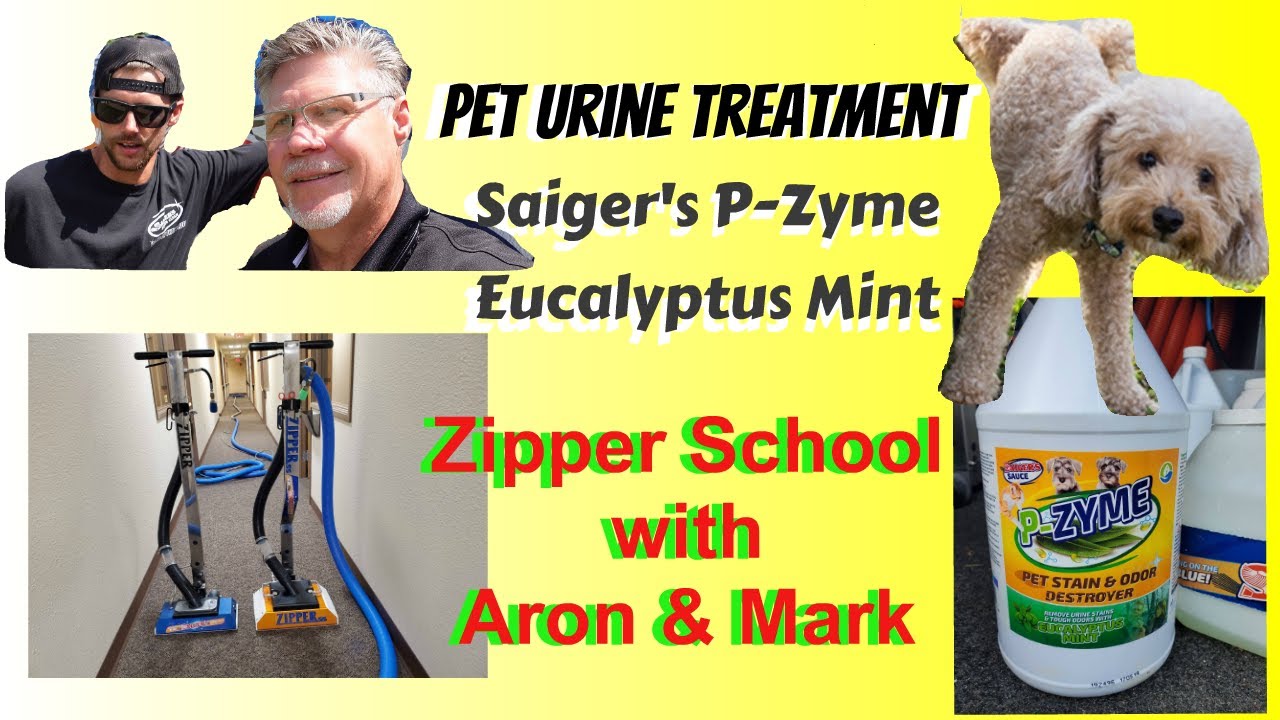Pet Urine Treatment with Saiger's Sauce New P-Zyme Eucalyptus Mint | Zipper School with Aron & Mark