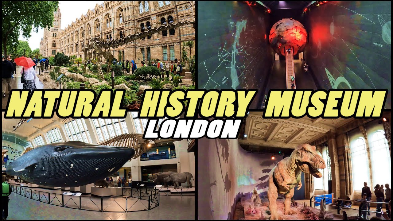 NATURAL HISTORY MUSEUM London - Full Tour [4k]