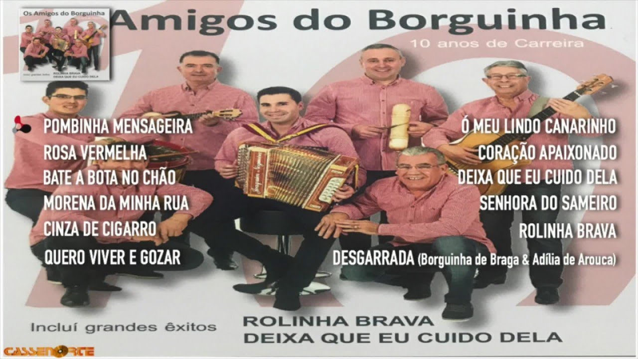 Os Amigos do Borguinha - 10 Anos de Carreira