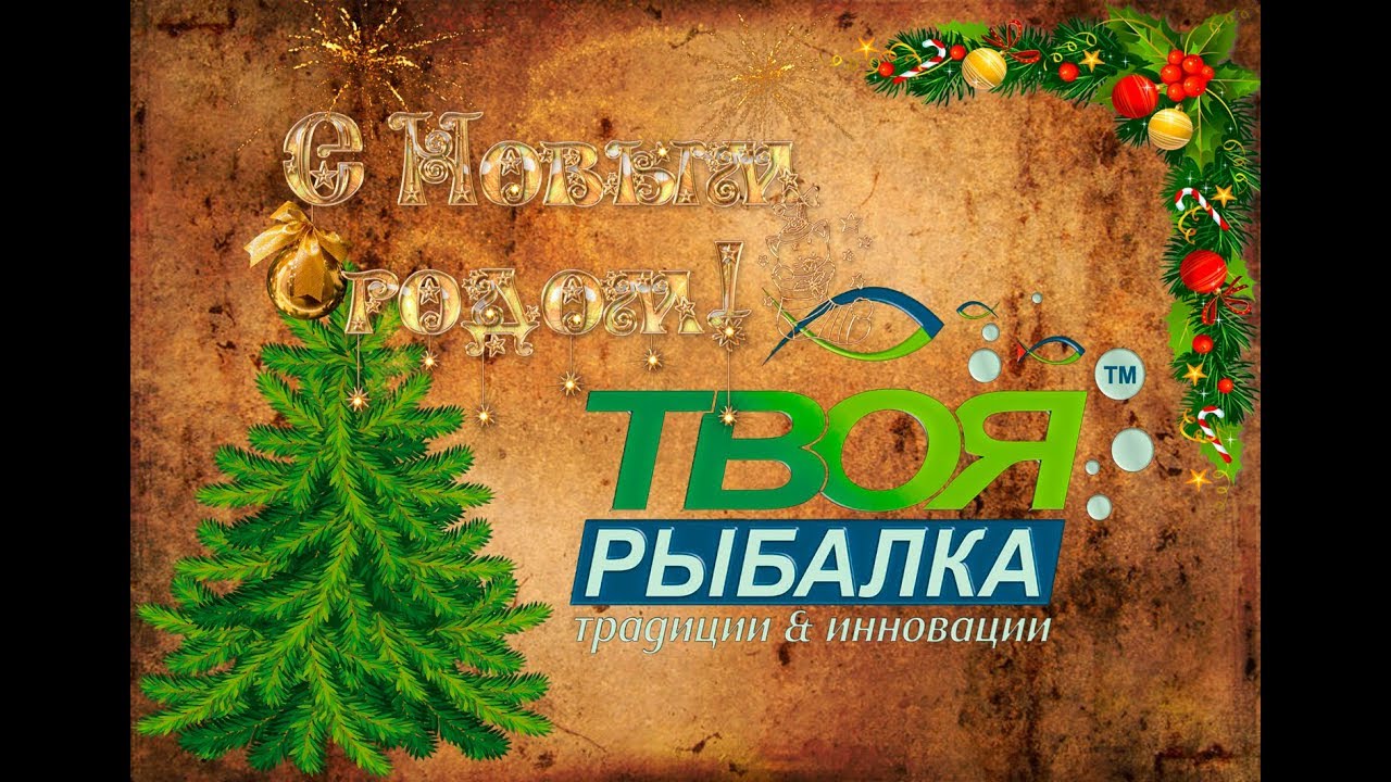 Предновогодний подарунок. Xesta BLACK STAR SOLID TZ tuned S64S.