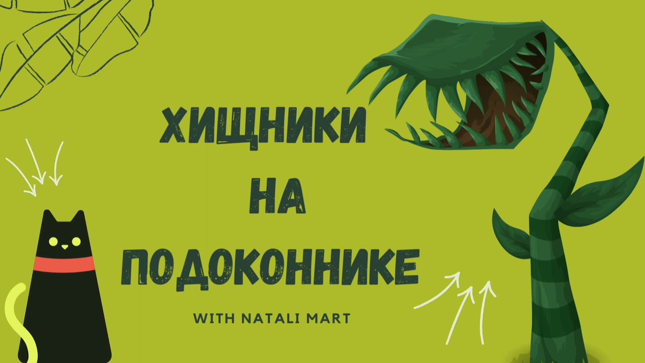 Пересадка Пузырчатки Лонгифолии. Utricularia Longifolia.
