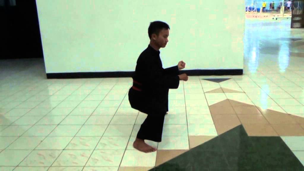 SATRIA MUDA INDONESIA