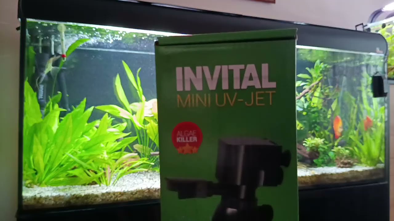 INVITAL MINI UV-JET 5 W LAMPA UV DO AKWARIUM 😁 #akwarystyka #rybyakwariowe #shorts 