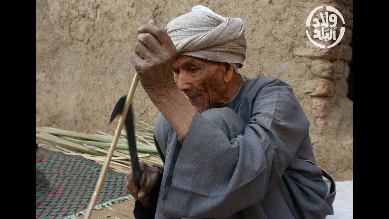 دشنا اليوم | 