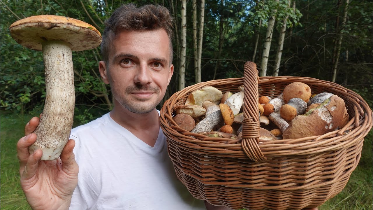 Ależ to było GRZYBOBRANIE!