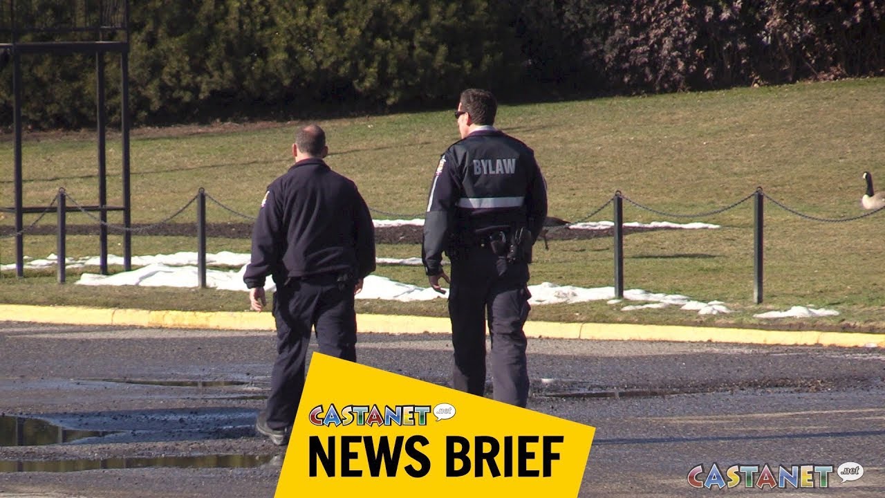 Video surveillance at Polson Park