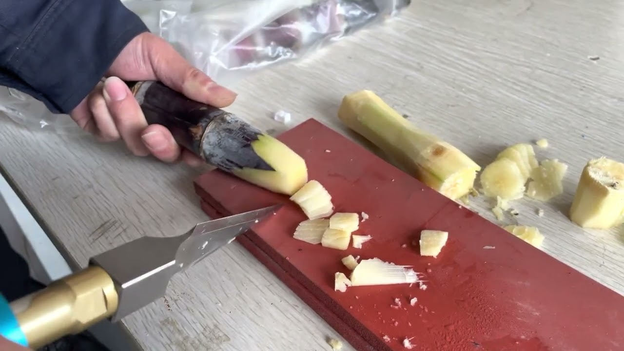 Ultrasonic Cuttting for Sugarcane /Frond Material /Palm Tree